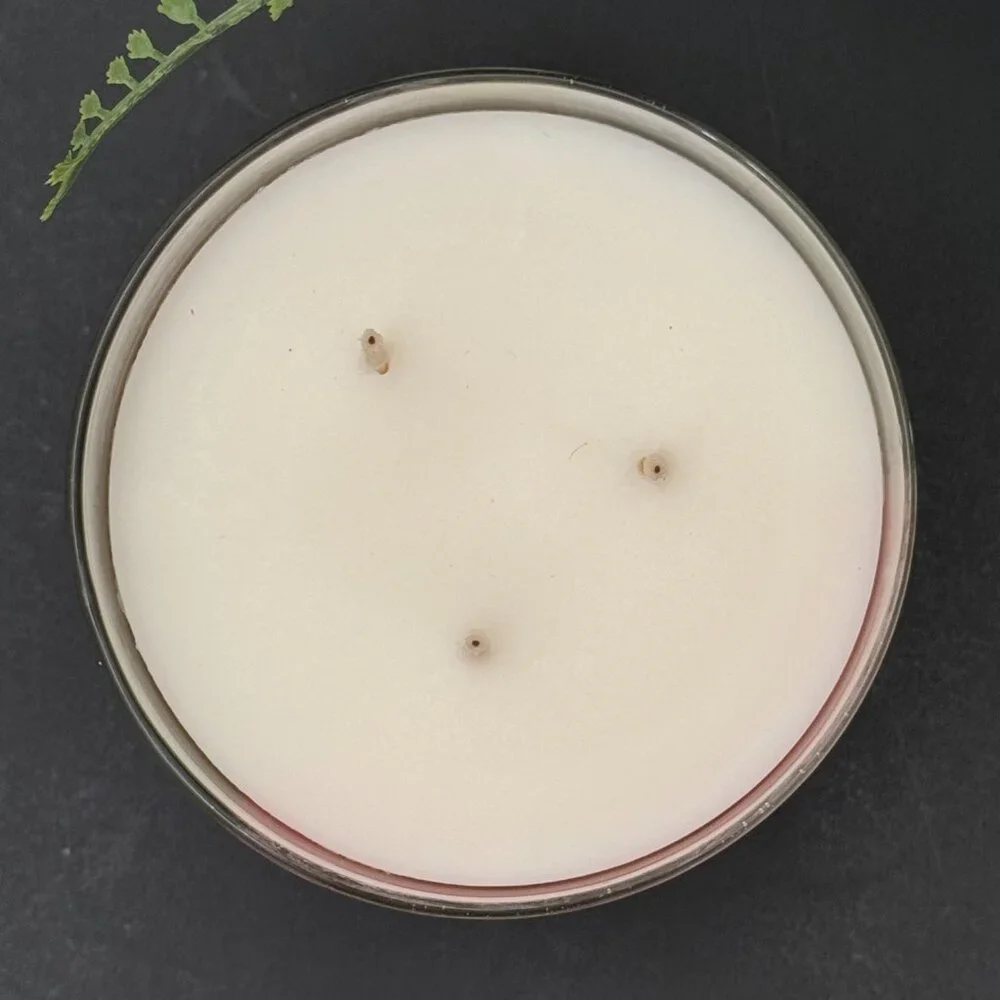 BBW Perfect in Pink Bath & Body Works 3 Wick Candle - Picture 7 of 10